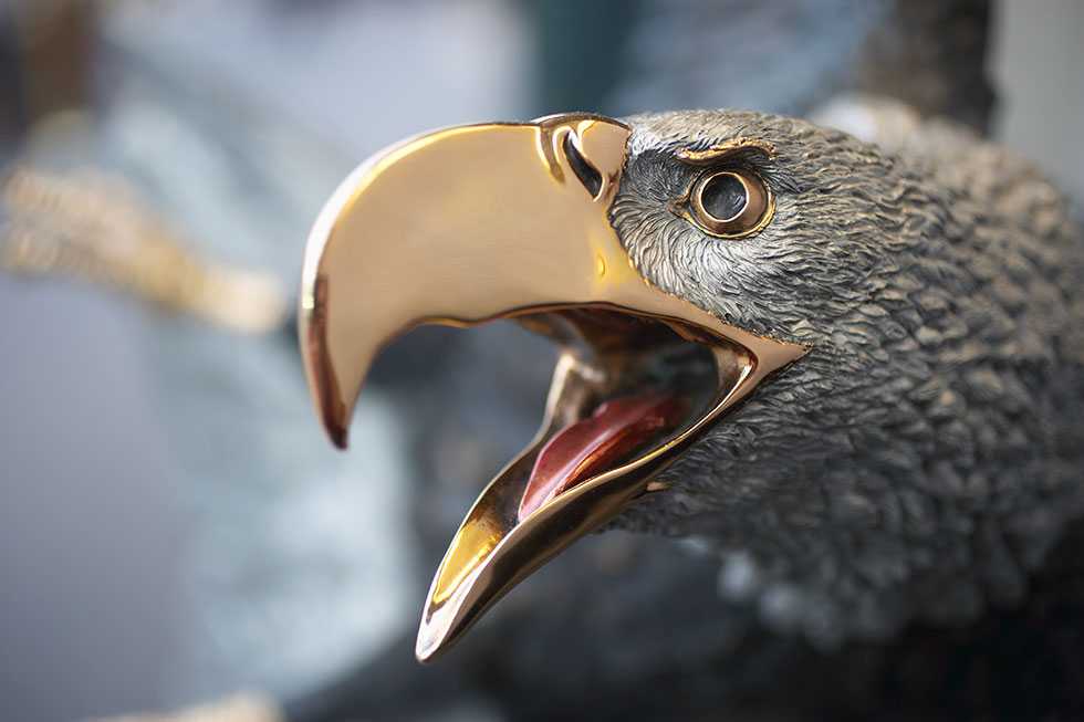 A close up of the eagle's face.